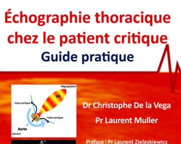 Echographie thoracique chez le patient critique